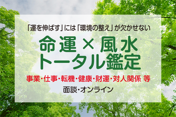 トータル鑑定